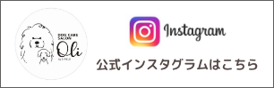 Instgramページへ