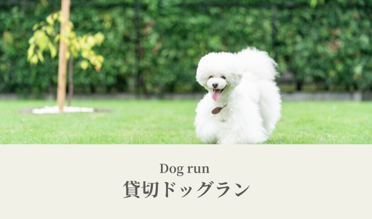 Dog run（貸切ドッグラン）