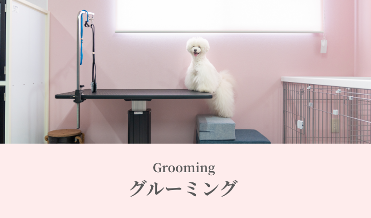 Grooming（グルーミング）